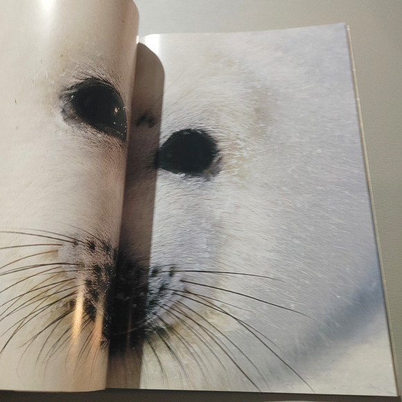 National Geographic Magazine March 2004 Harp Seals Rain Forest Elephant Armenia - Picture 7 of 11